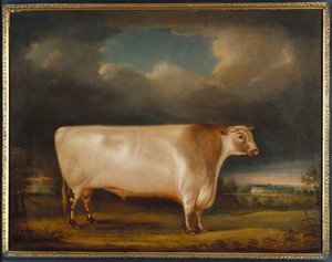 Comet, a Light Roan Short-Horn Bull in a Landscape, 1811