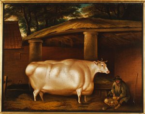 The White Heifer that Travelled, with a man slicing turnips in a stable yard, 1811