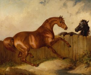 Stallion and Mare by Thomas Woodward