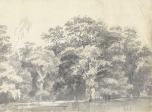 Trees on a River Bank by Thomas Wyck