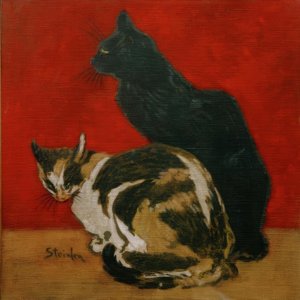 The Cats