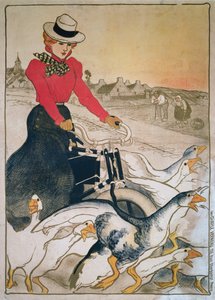 Woman on Motorized Velocipede and Group of Geese