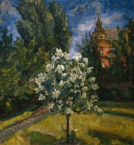 Summer Day