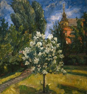 Summer day