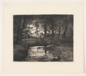 Stream in Borrevejle Forest
