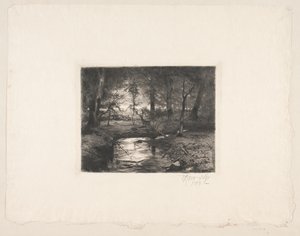 Stream in Borrevejle Forest by Thorvald Niss
