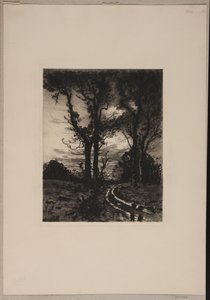 Rutted Road Between Trees