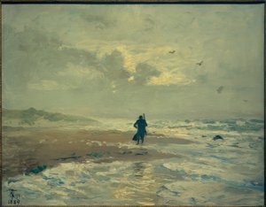 Beach View. Grenen near Skagen