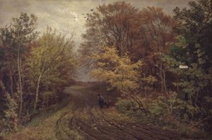 Road in Borrevejle Forest. October Day