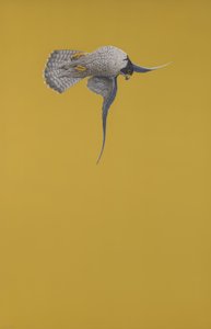 Yellow Stoop by Tim Hayward