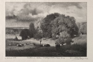 Autumn Oaks by Timothy Cole