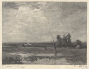 Landscape, Afternoon