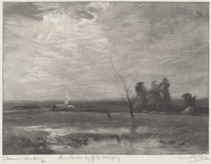 Lowlands by Timothy Cole after John Francis Murphy