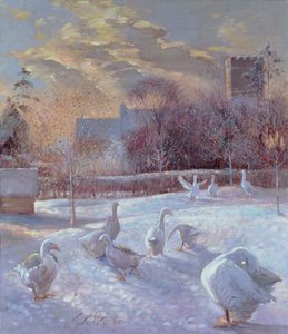 First Light, 1994