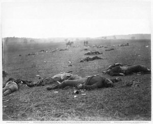 A Harvest of Death