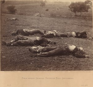 Field Where General Reynolds Fell, Gettysburg, July 5, 1863