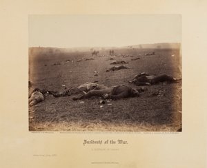 Incidents of the War: A Harvest of Death