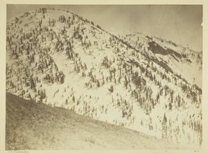 Snow Peaks, Bull Run Mining District, Nevada by Timothy O