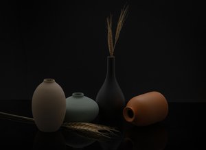 Earthy Vases and Wheat