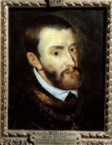 Portrait of Emperor Charles V