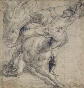 Horse and Rider Falling