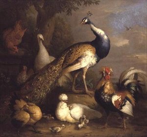 Peacock, Peahen and Poultry in a Landscape
