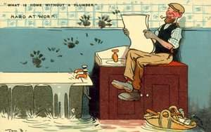 Plumber, Hard at Work