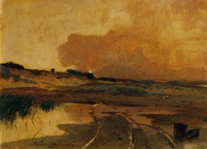 Evening in the Moor