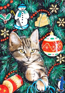 Tabby Christmas Kitten by Tony Todd