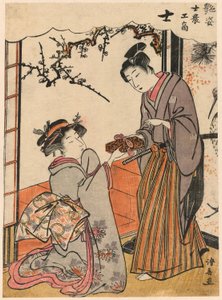 The Samurai (Shi) from the Series Beauties Illustrating the Four Social Classes by Torii Kiyonaga