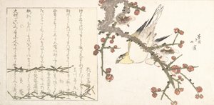 Bush Warbler on a Plum Branch by Totoya Hokkei