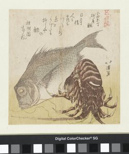 The Sea Bass of Yanagiya in Odawaracho by Totoya Hokkei