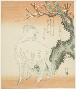 Goat beneath a Plum Tree