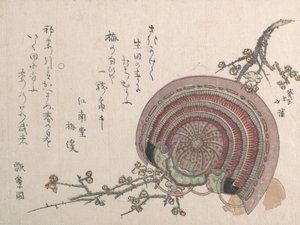 Helmet and Plum Blossoms by Totoya Hokkei