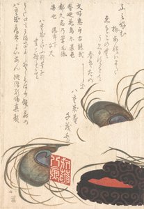 Seal-stone and Seal-ink with Peacock Feathers, from Spring Rain Surimono Album
