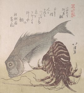 Tai Fish and Lobster, Specialities of Yanagiya in Odawara-cho