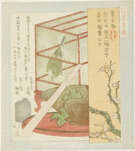 Warbler in a Cage, from the series 