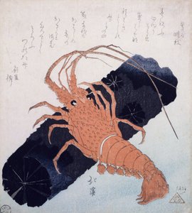 Langoustine with a Block of Charcoal, c.1830 by Toyota Hokkei