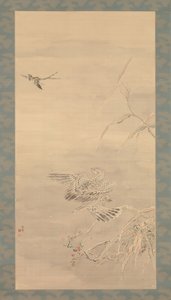 Hawk Grasping a Small Bird
