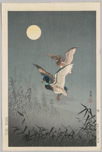 Tokyo Views: Ducks by Tsuchiya Kōitsu