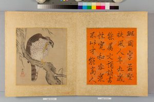 Album of Hawks and Calligraphy