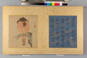 Album of Hawks and Calligraphy