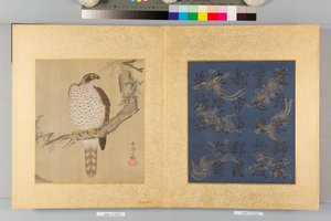 Album of Hawks and Calligraphy