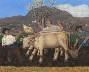 Plowing