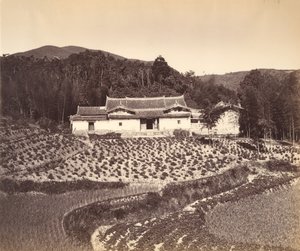 Teafield & Josshouse at Peling, ca. 1869 by Tung Hing.