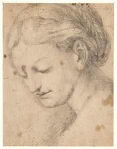 A Woman’s Face in Three-Quarter Profile