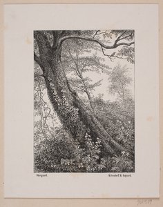 A Tree Trunk by Ubekendt