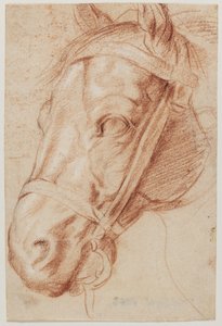 Horse Head by Ubekendt