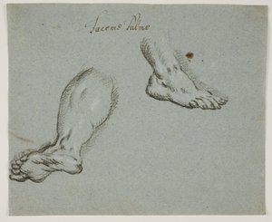 A Left Leg and a Right Foot