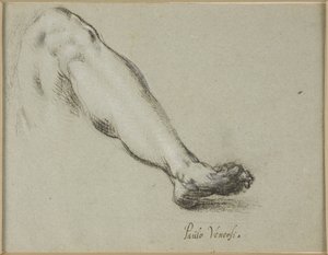 Study for Lower Part of a Left Leg